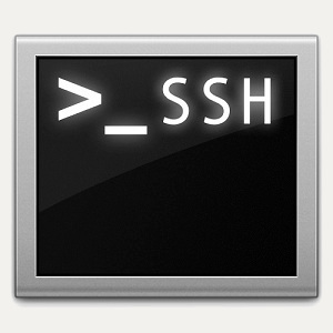 Ilustración de las letras ssh sobre un monitor imitando una terminal de comandos